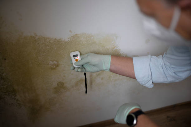 Best Crawl Space Mold Removal  in Aptos Hills Larkin Valley, CA