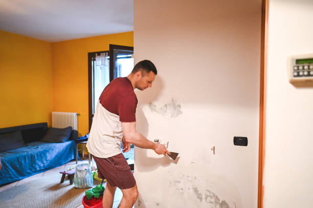 Best Toxic Mold Removal  in Aptos Hills Larkin Valley, CA