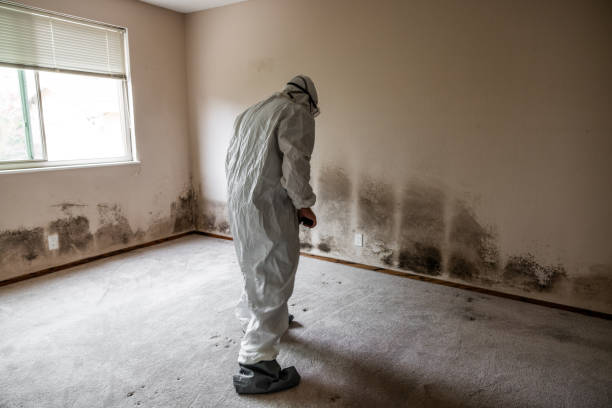 Best Residential Mold Removal  in Aptos Hills Larkin Valley, CA